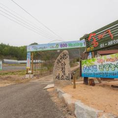 Gangwon Taegisan morning birdsong