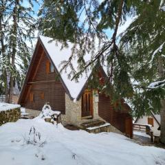 Cozy Cottage Vlašić