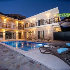 Stone Villa with pool Montenegro Star