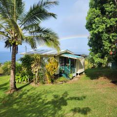 Sunrise Farm Cottage I - 180 Degree OceanViews Stargazing Whale Watching on Hamakua Coast Hawaii