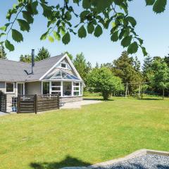 Holiday Home Sønderballevej Blåvand Iii