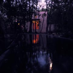 barefoot jungle studios