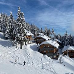 Alpine Escape Golte Apartment