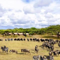 Africa Safari Serengeti Kusini