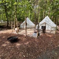 Alpaca Hoogstraten Glamping