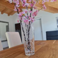 Jungfrau Penthouse - Aare Jungfrau AG