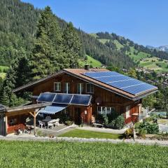 Apartment Burkhalter by Interhome