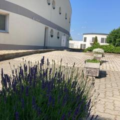 鹦鹉螺餐厅住宿加早餐旅馆