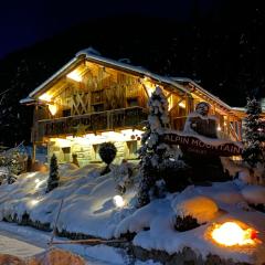 Alpine Mountain Chalet