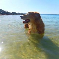 4 Gilchrist Rd - pet friendly, air con, Wi-Fi