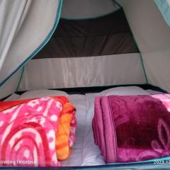 Fesengbor eco camp