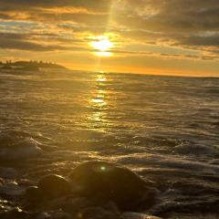 Devonport Breeze Escape