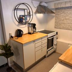 1-Room Apartment In City Center