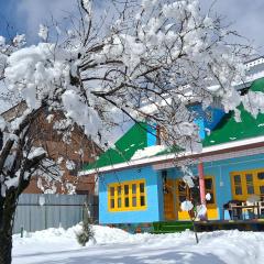 Conifer view guest house