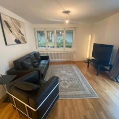 Amazing 4BR flat in the city centre - Sky 9