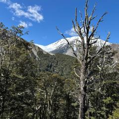Craigieburn Valley