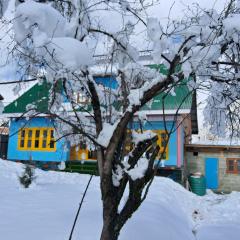 Conifer view guest house