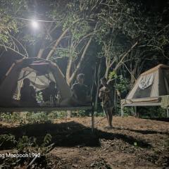 PhaluayCamping