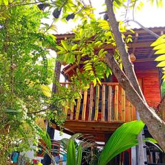 Parrot Tree House