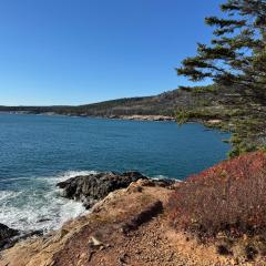 Acadia Horizon Cottage