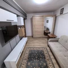 Fabian home central