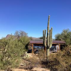 Vintage Airstream Lola Saguaro National Park