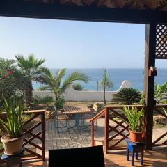 Tropikal House Facing Ocean