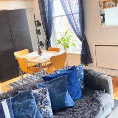 Beautiful Apartment in Temple Bar