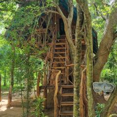 Ali Adi Eco Tree House