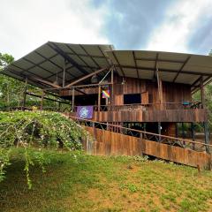 Casa Nutria