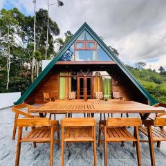 Top Mountain Resort