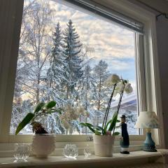 Cozy room surrounded by nature