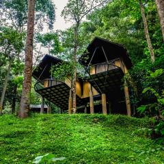 Song Of The Trees Nature Stay Kutitkanam by LexStays