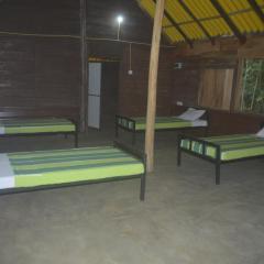 Forest Camping Fun Hostel