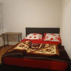 1 Cosy Room in a 3 Bed-Room-Appart