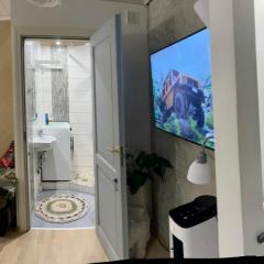 Renthouse Guest Apartment ADEELE