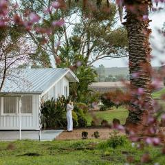Wine Down McLaren Vale, a cosy vineyard retreat