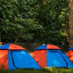 Dandeli Resorts - Luxury