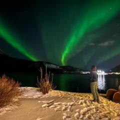 Sigerfjordveien 501