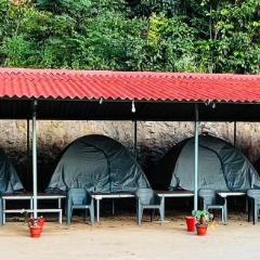 The nest bettathur Coorg campsite