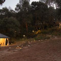 Nayalap - Rural Himalayan Glamping