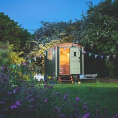 Elderflower Hut