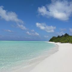 Rattehi Inn at Rakeedhoo
