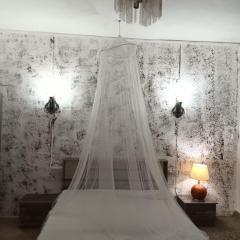 Studio Le Palmiste