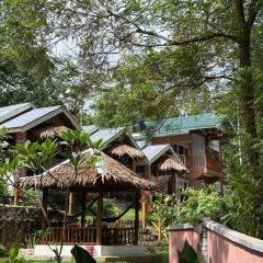 Asim Paris Guesthouse & jungle trekking