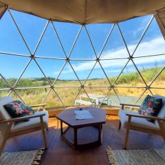 Waipu Eco Coastal Glamping Geodesic Dome