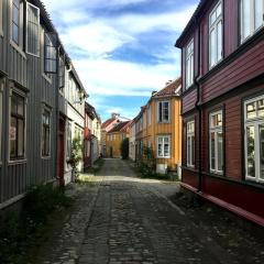 Lite studioleilighet meget sentralt i sentrum, 3 minutter fra torget