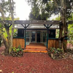 Jungle Cabin with 2 private bed & bath