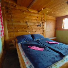 Hängebett im Stall
