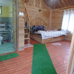 Pg Dream Cabin Jibhi